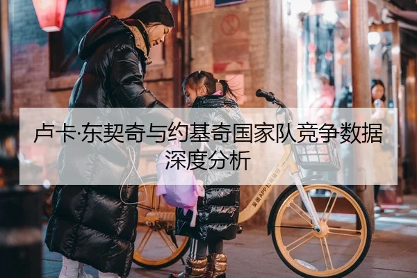 卢卡·东契奇与约基奇国家队竞争数据深度分析
